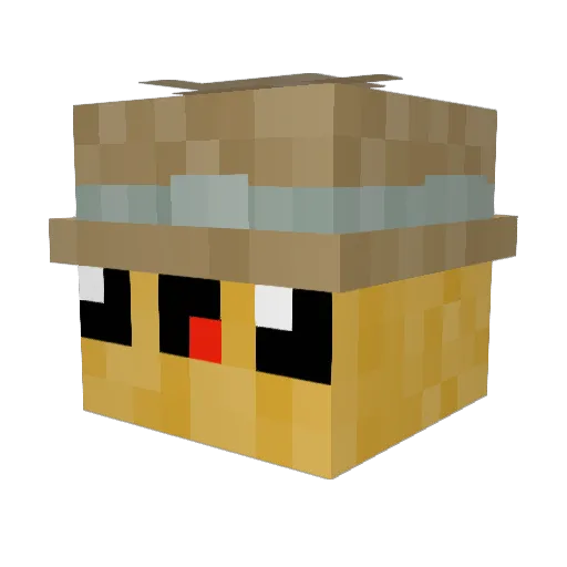 DxrkDon Minecraft avatar head, 3D render