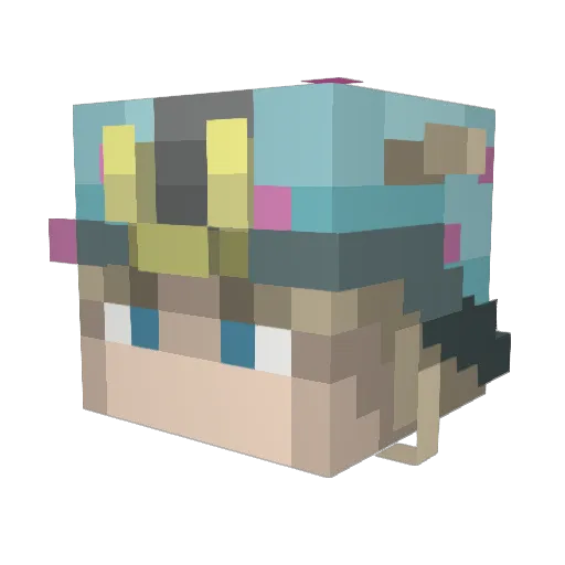Dxrkinn Minecraft avatar head, 3D render