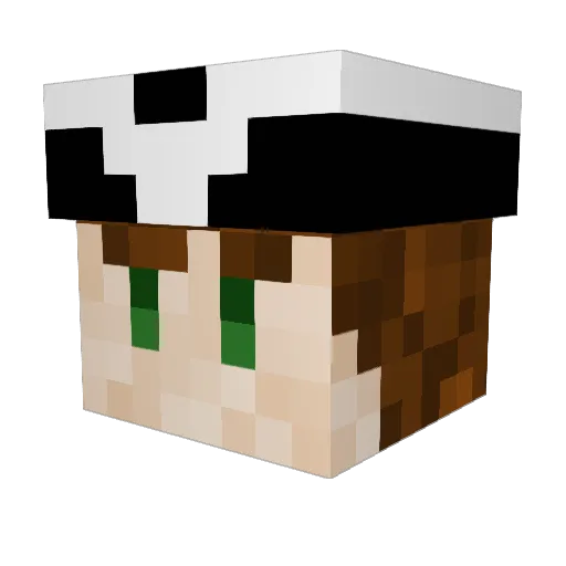 Dxshy24 Minecraft avatar head, 3D render