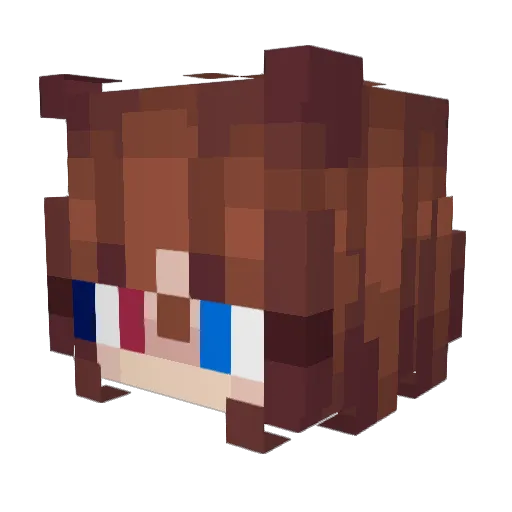 Dxstor Minecraft avatar head, 3D render
