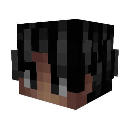Dxwixr Minecraft avatar head, 3D render