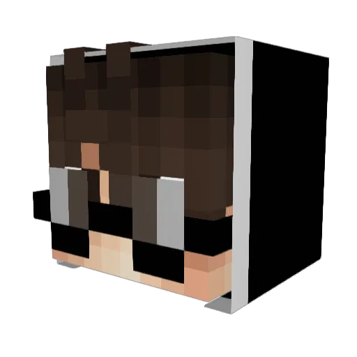 Dxwww Minecraft avatar head, 3D render