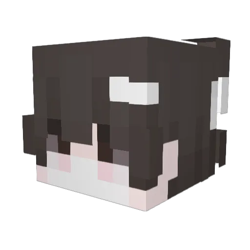 Dxxnn Minecraft avatar head, 3D render