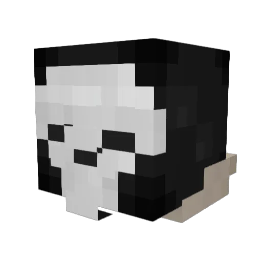 DyDitrix Minecraft avatar head, 3D render