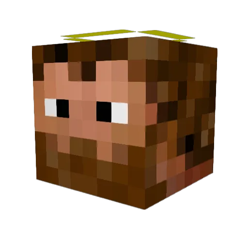 DyHouli Minecraft avatar head, 3D render
