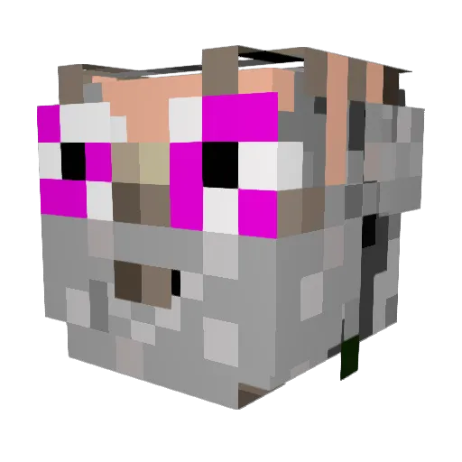 DyTix_ Minecraft avatar head, 3D render