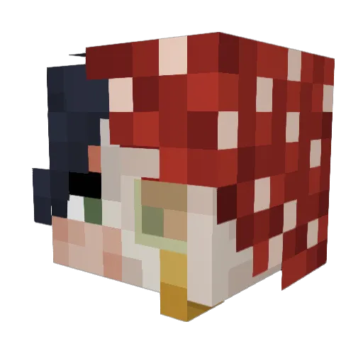 Dyagol Minecraft avatar head, 3D render