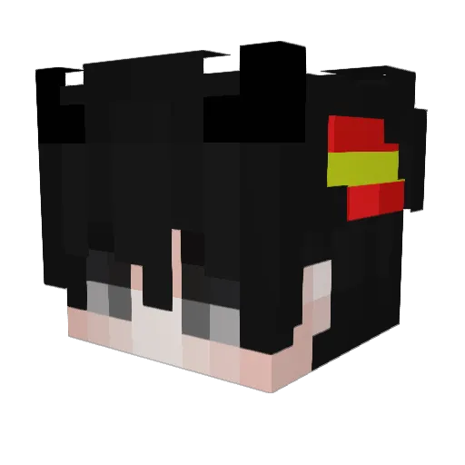 Dyalan2311 Minecraft avatar head, 3D render