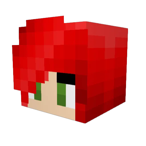 Dyara9 Minecraft avatar head, 3D render