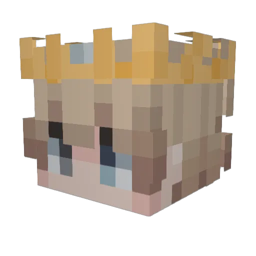 Dydunn Minecraft avatar head, 3D render