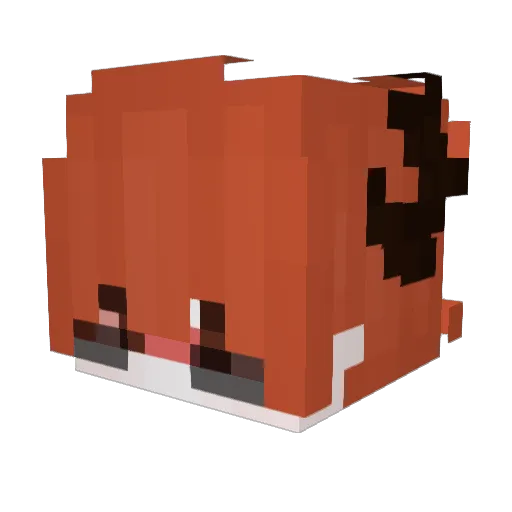Dydy521 Minecraft avatar head, 3D render