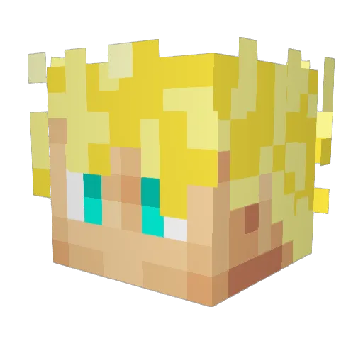 Dydy9 Minecraft avatar head, 3D render