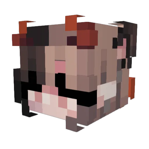 Dyeed Minecraft avatar head, 3D render