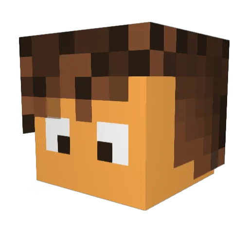 Dyfr1 Minecraft avatar head, 3D render