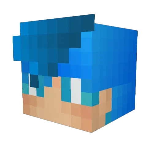 DyhRows_ Minecraft avatar head, 3D render