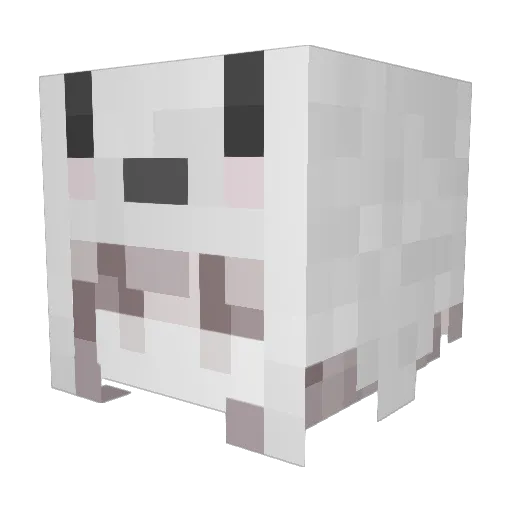 Dyin_Sugarcane Minecraft avatar head, 3D render