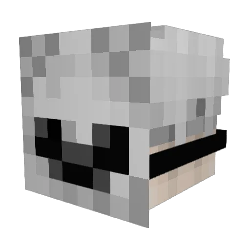DyingChicken37 Minecraft avatar head, 3D render