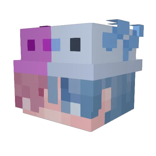 DyingTurtle21 Minecraft avatar head, 3D render