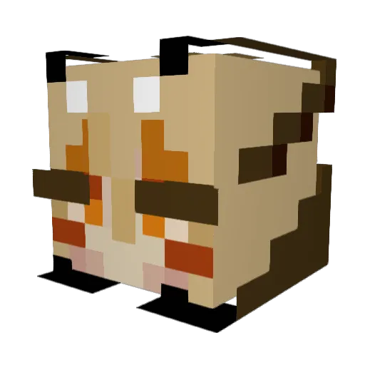 Dyiphoria Minecraft avatar head, 3D render