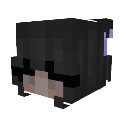 Dyl Minecraft avatar head, 3D render