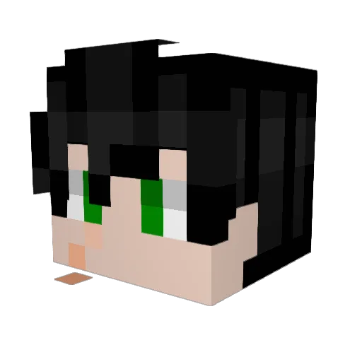 DylNl Minecraft avatar head, 3D render
