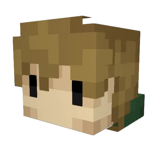 DylOfAll Minecraft avatar head, 3D render