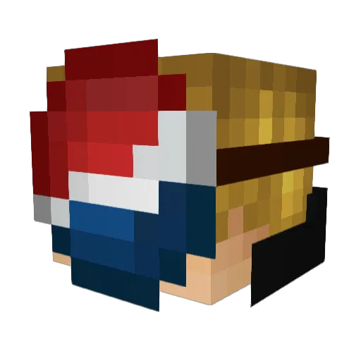 Dyla_ns Minecraft avatar head, 3D render