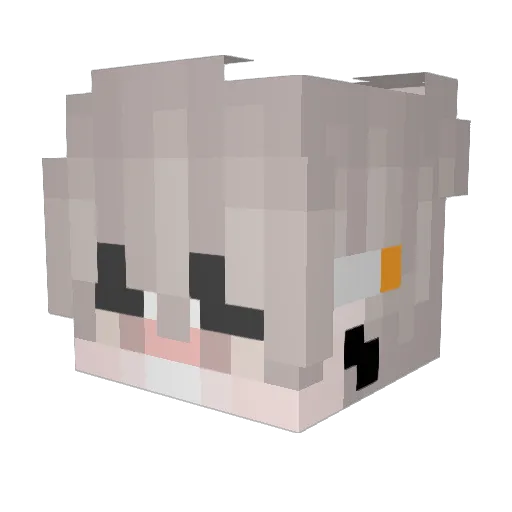DylamanGamer295 Minecraft avatar head, 3D render