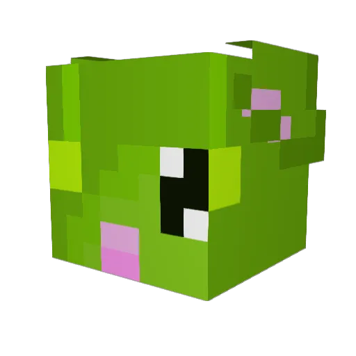 Dylan2171 Minecraft avatar head, 3D render