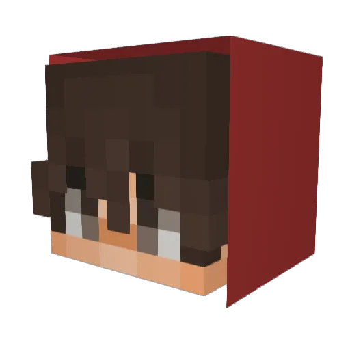Dylan3419 Minecraft avatar head, 3D render