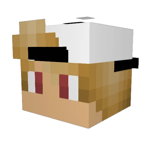 Dylan8814 Minecraft avatar head, 3D render