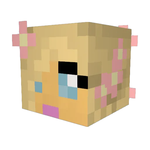 DylanAC17 Minecraft avatar head, 3D render
