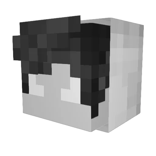 DylanBG Minecraft avatar head, 3D render