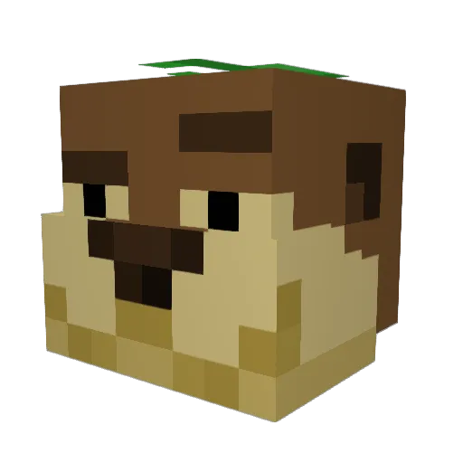 DylanCruz8 Minecraft avatar head, 3D render
