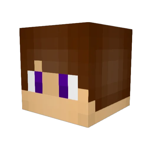 DylanDistoryer10 Minecraft avatar head, 3D render