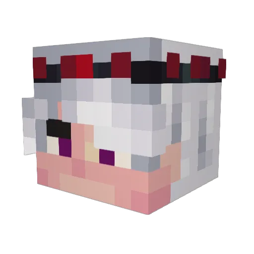 DylanDoodle22 Minecraft avatar head, 3D render