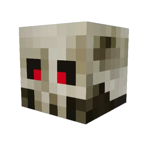 DylanDoty Minecraft avatar head, 3D render