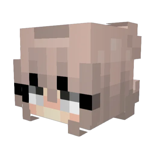 DylanDrisk Minecraft avatar head, 3D render
