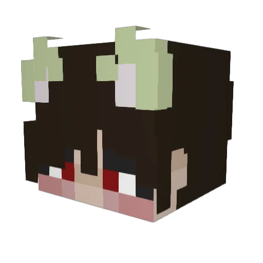 DylanImCool1649 Minecraft avatar head, 3D render