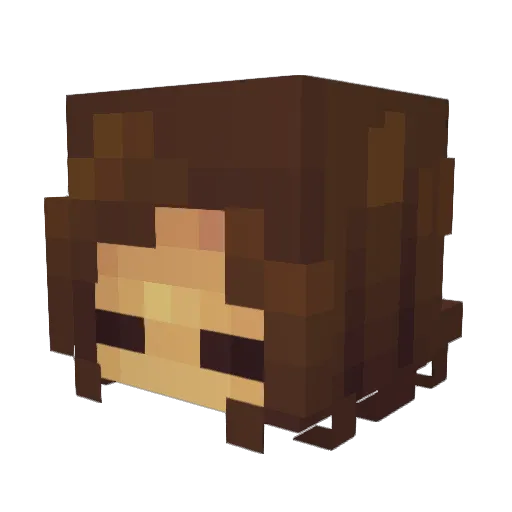 DylanMoores8510 Minecraft avatar head, 3D render