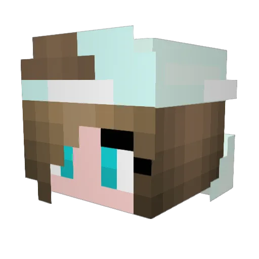 DylanRose1 Minecraft avatar head, 3D render
