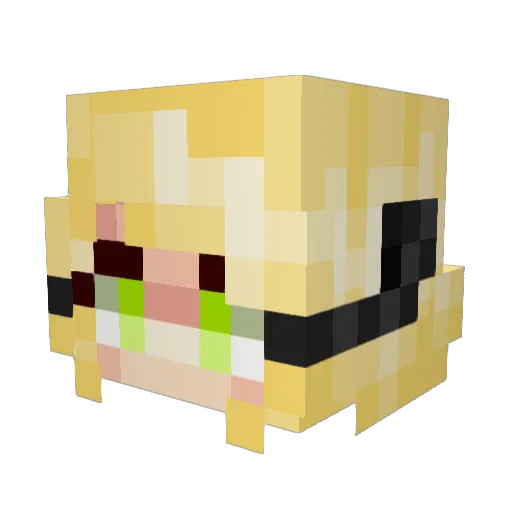 DylanTheDork Minecraft avatar head, 3D render