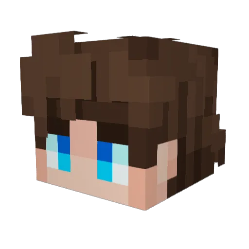 DylanWMC Minecraft avatar head, 3D render