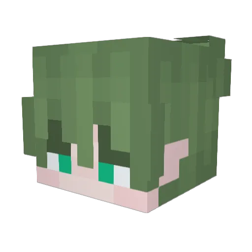 DylanXO4 Minecraft avatar head, 3D render