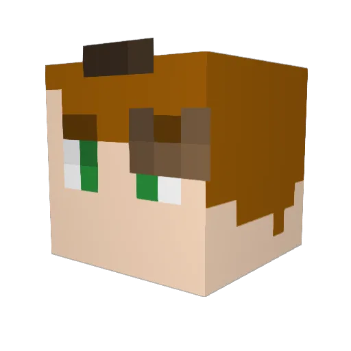 Dylan_Franklin Minecraft avatar head, 3D render