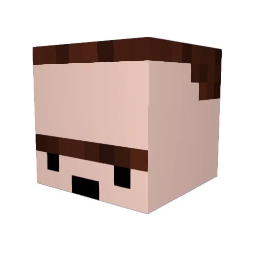 Dylan__b Minecraft avatar head, 3D render