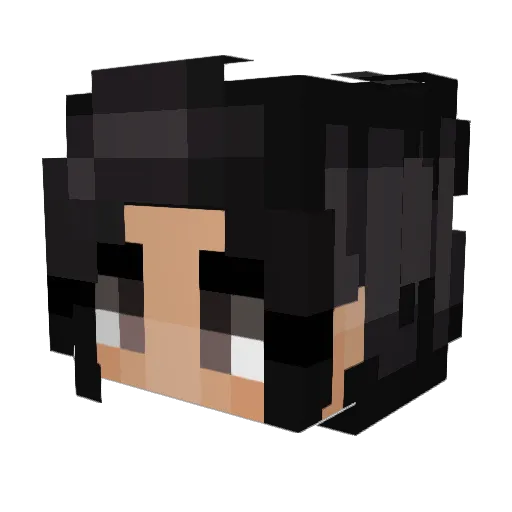 Dylanachaudo Minecraft avatar head, 3D render