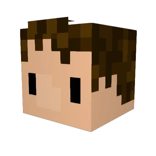Dylananas Minecraft avatar head, 3D render