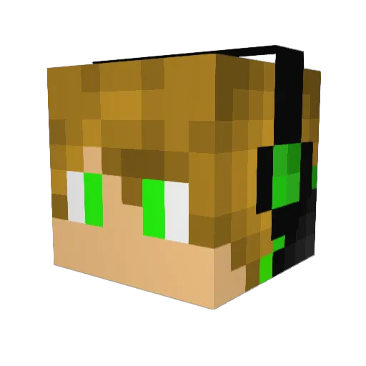 Dylangamer593 Minecraft avatar head, 3D render