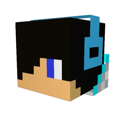 Dylanhousetree Minecraft avatar head, 3D render